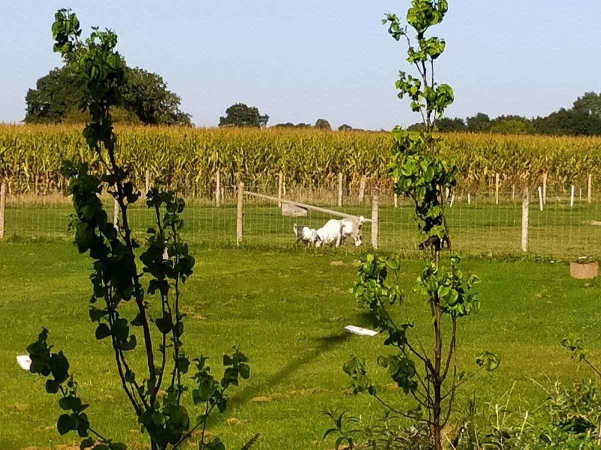 De Vrije Wei Broekland (Gelderland) מראה חיצוני תמונה